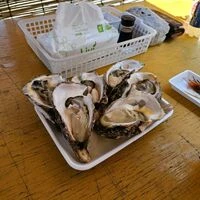 画像242