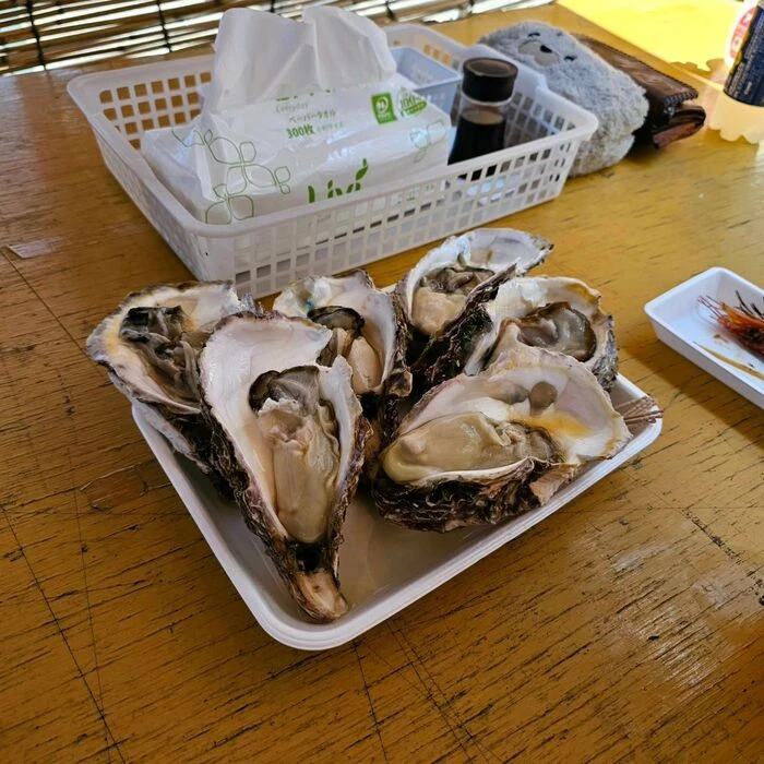 画像242