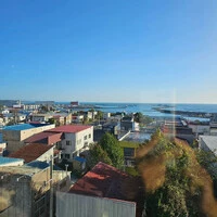 画像263